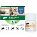 Advantage II XL Dogs Over 55 lbs.|Vet-Recommended Flea Treatment & Prevention|4-Month Supply + Tapeworm Dewormer for Dogs (5 Tablets)