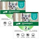 Advantage II Kitten 2-5 lbs.|Vet-Recommended Flea Treatment & Prevention|4-Month Supply