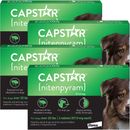 Capstar Flea Control for Dogs Over 25 lbs (24 Tablets)