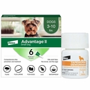 Advantage II Small Dogs 3-10 lbs.|Vet-Recommended Flea Treatment & Prevention|6-Month Supply + Tapeworm Dewormer for Dogs (5 Tablets)