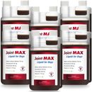 6-PACK Joint MAX Liquid for Dogs (192 fl oz)
