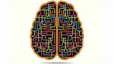 An illustration of a brain, and the complex pathways of ADHD emotions.