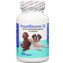 Animal Health Options - Proanthozone