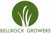 Pet Greens by Bell Rock Growers