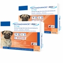 EctoAdvance Plus for Dogs 4-22 lbs (6 Doses)