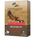 FlockLeader Recover 911 Water Supplement, 8-oz