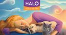 Halo Purely for Pets - Natural Pet Food