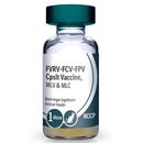 PUREVAX Feline 4, 0.5 ml dose (RCCP) 25x1 dose