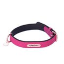 ZippyPaws Collars & Leashes & Harnesses